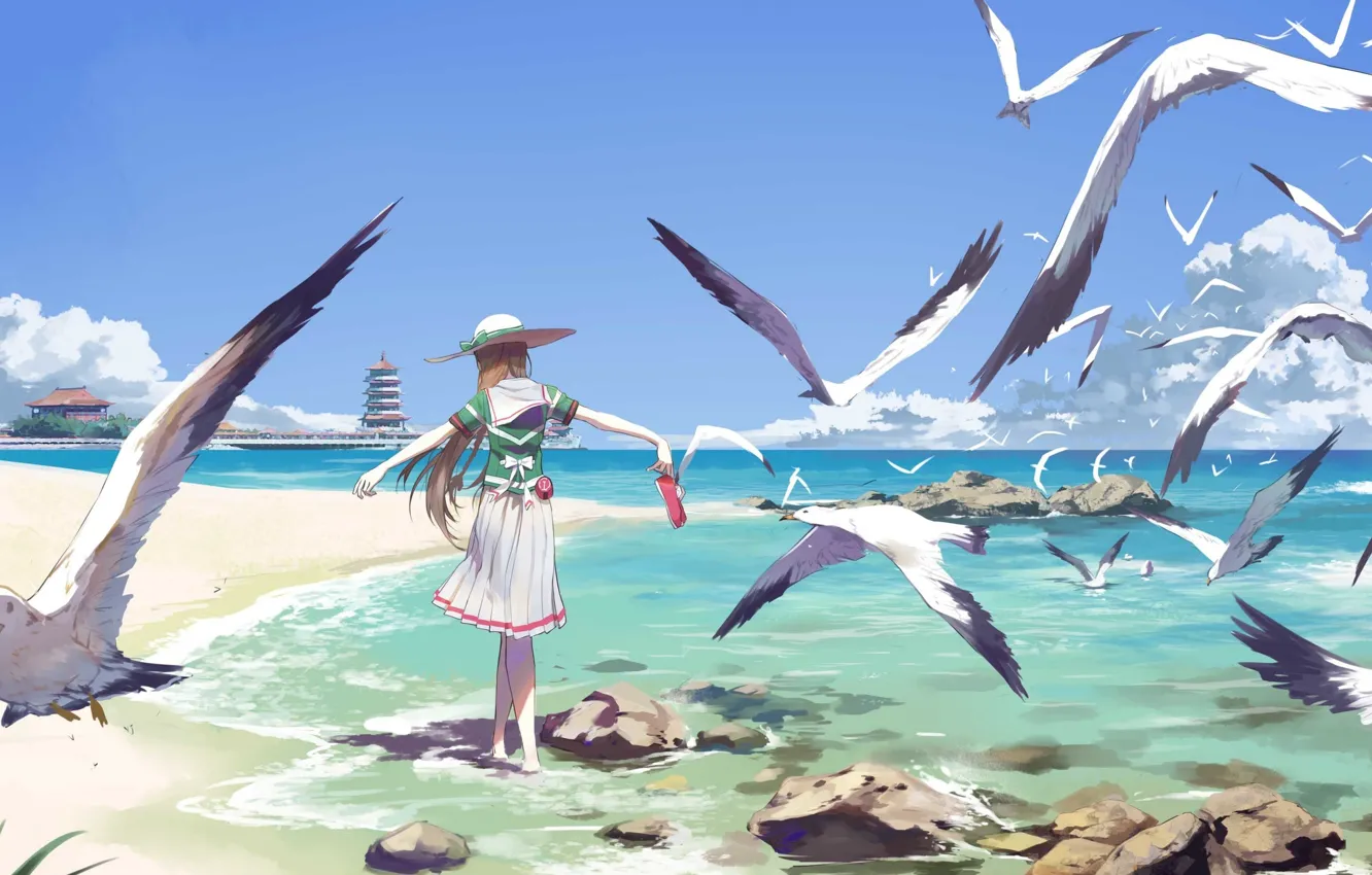 Photo wallpaper sea, summer, the sky, stones, shore, back, seagulls, wings
