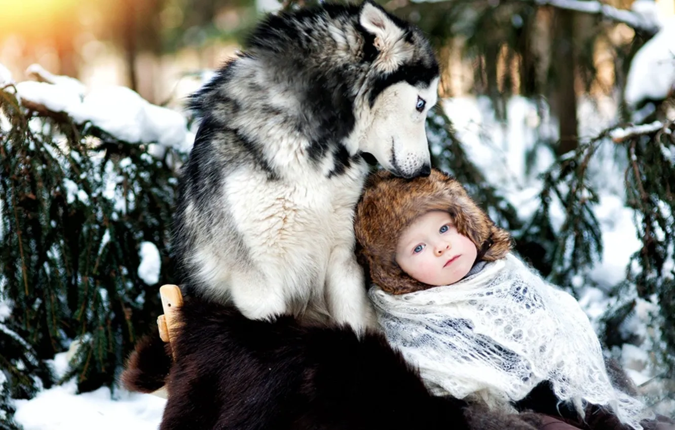 Photo wallpaper winter, snow, children, dog, friendship, husky