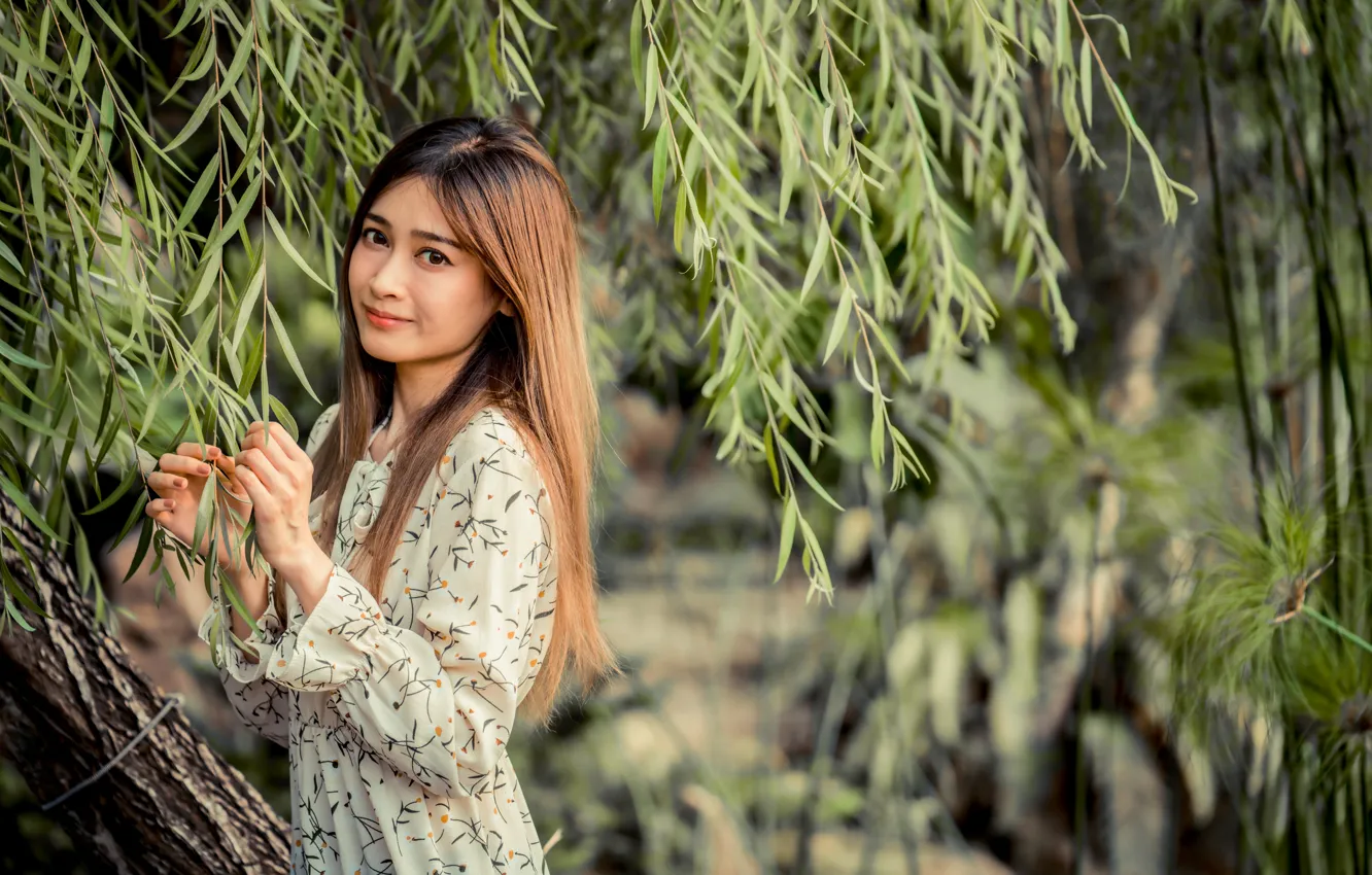 Photo wallpaper look, girl, branches, Asian, cutie