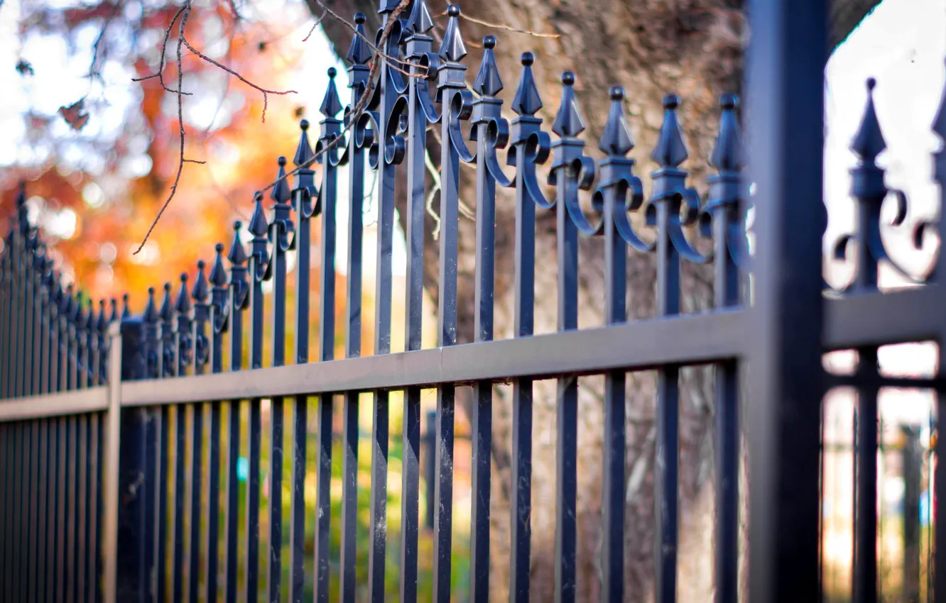 Photo wallpaper autumn, leaves, tree, the fence, rods, bokeh, iron