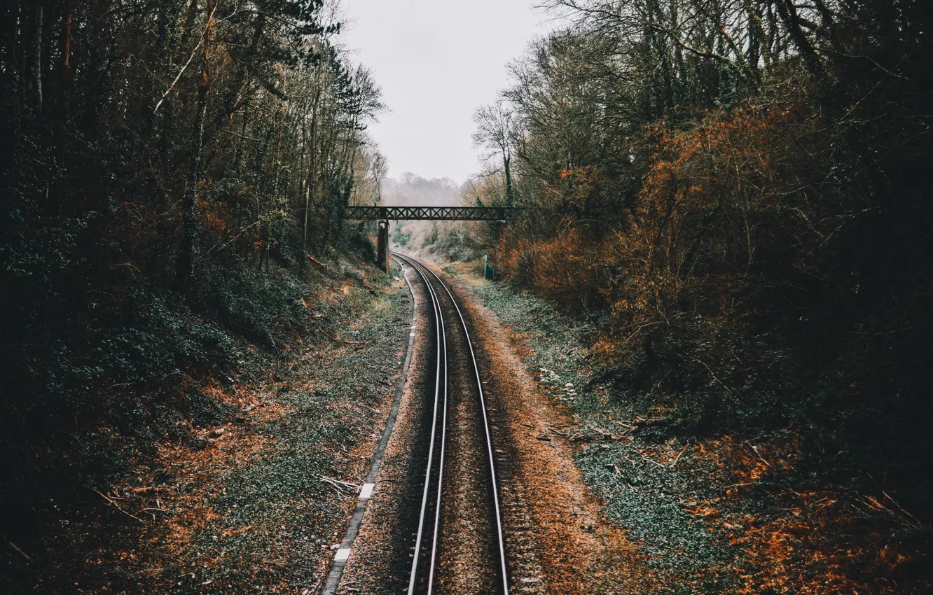 Photo wallpaper autumn, trees, bridge, the way, railroad