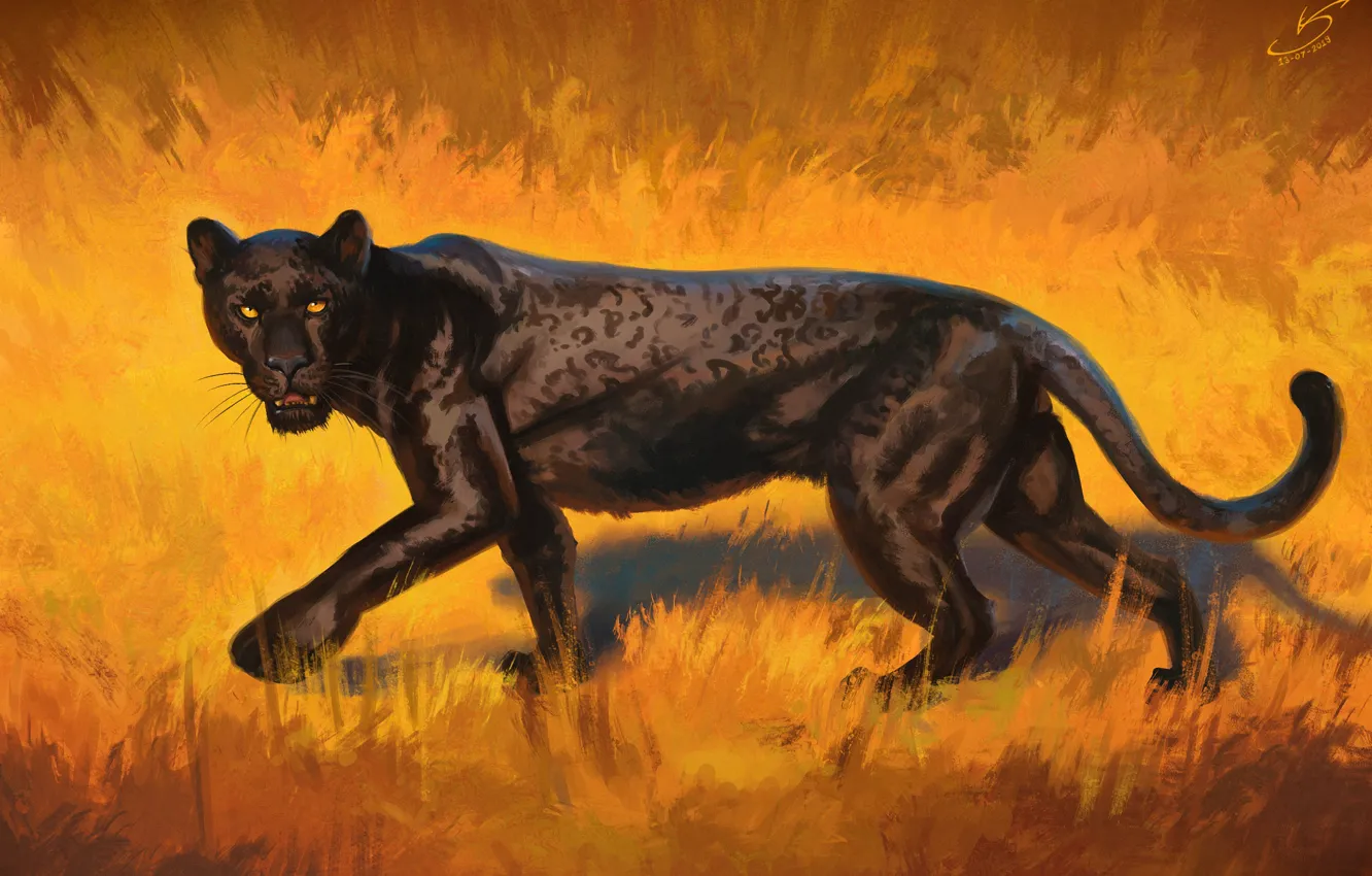 Photo wallpaper grass, look, predator, Panther, art, big cat