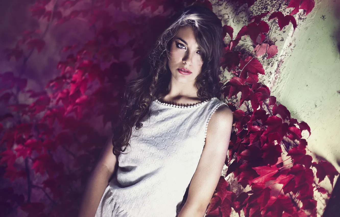 Photo wallpaper girl, background, Adele