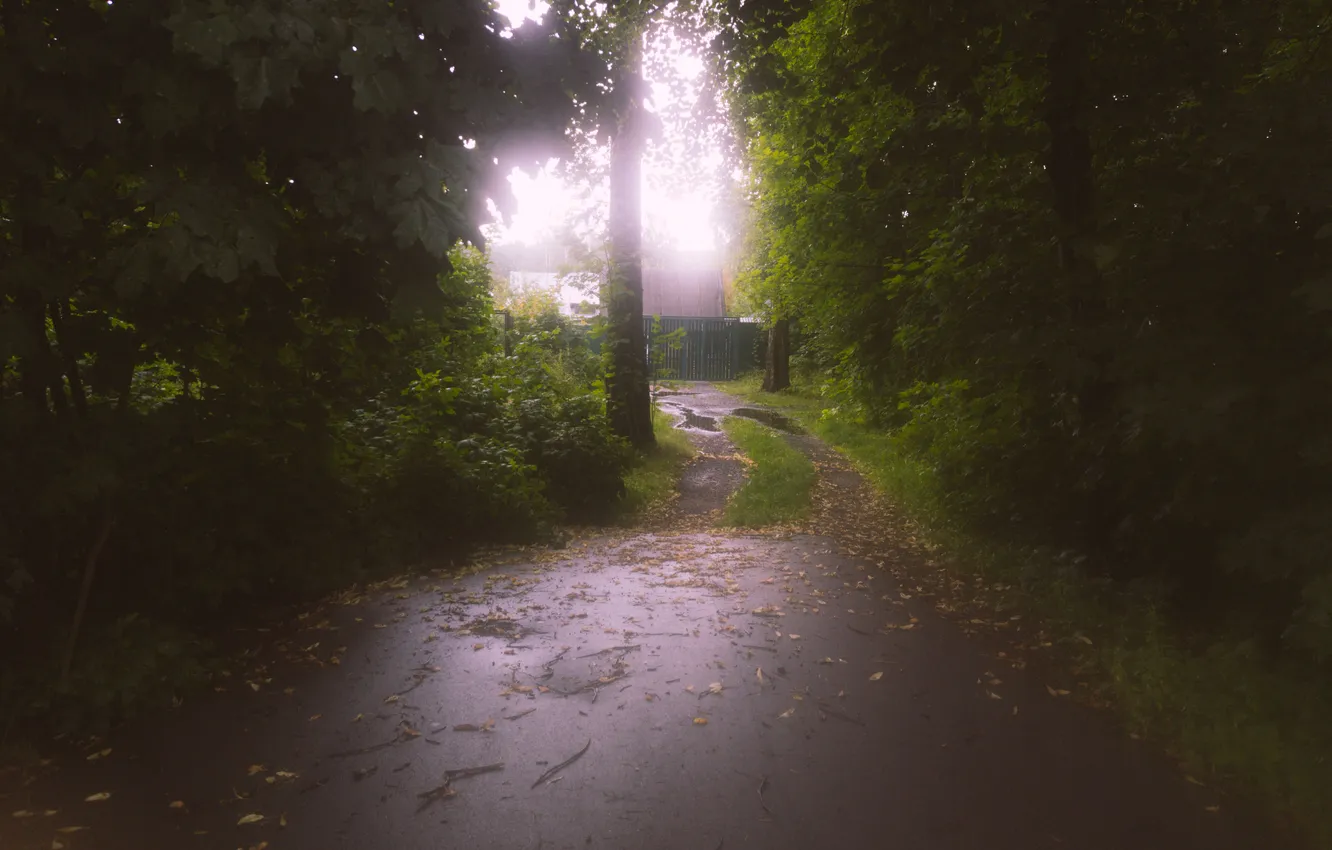 Photo wallpaper summer, the sky, grass, trees, building, home, puddle, Russia