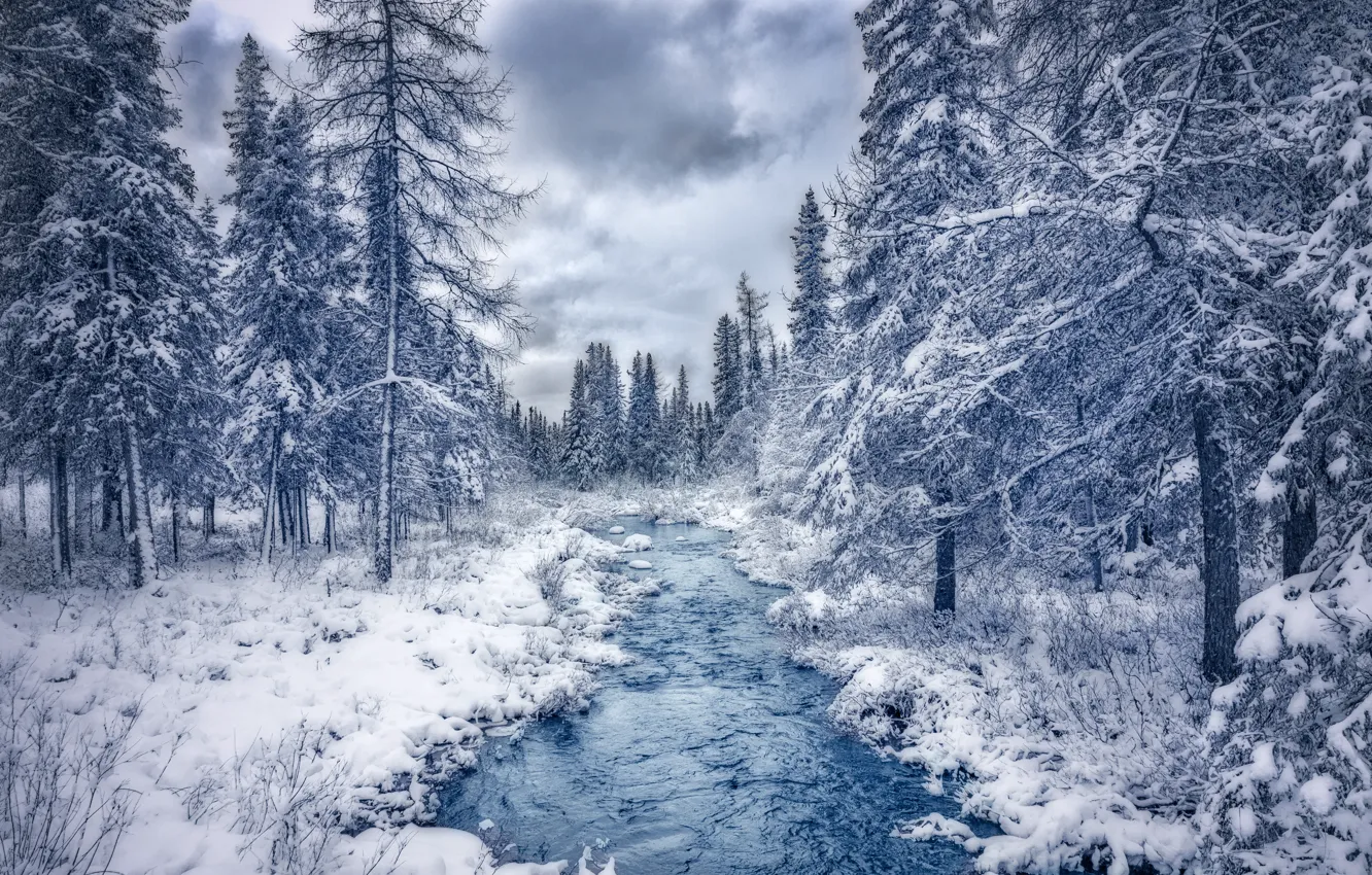 Photo wallpaper winter, forest, snow, trees, river, Canada, Canada, Quebec