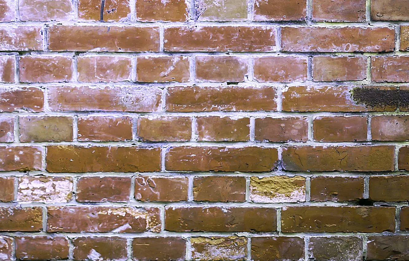 Photo wallpaper wall, brick, masonry