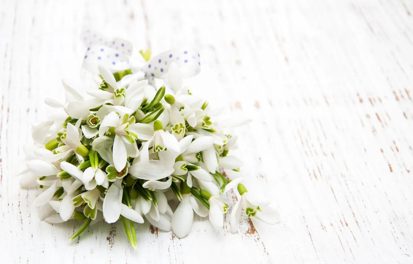 Photo wallpaper flowers, bouquet, snowdrops, white, white, flowers, spring, Snowdrops