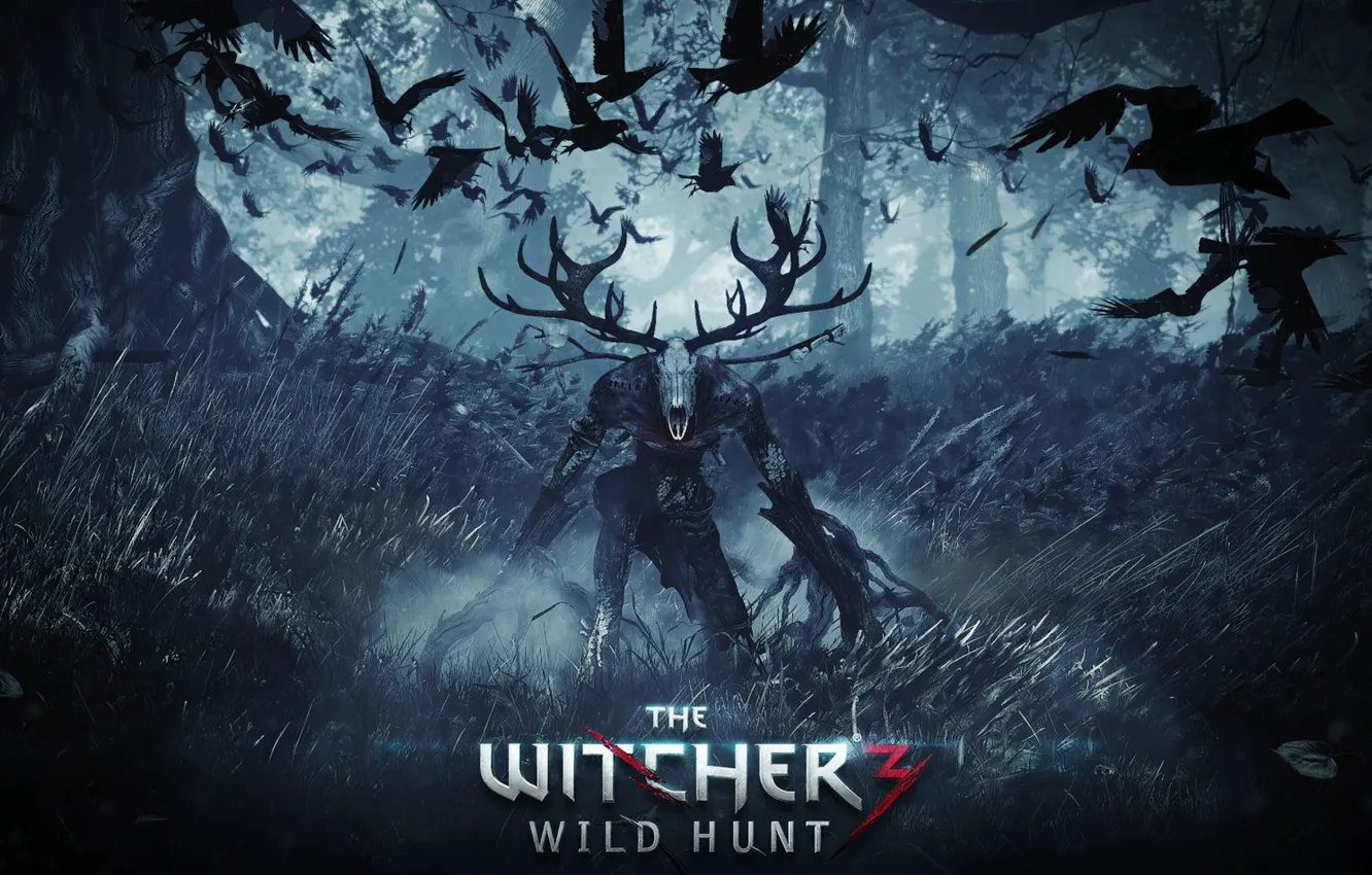 Photo wallpaper The Witcher, Witcher, The Witcher 3 Wild Hunt, The Witcher 3 Wild Hunt
