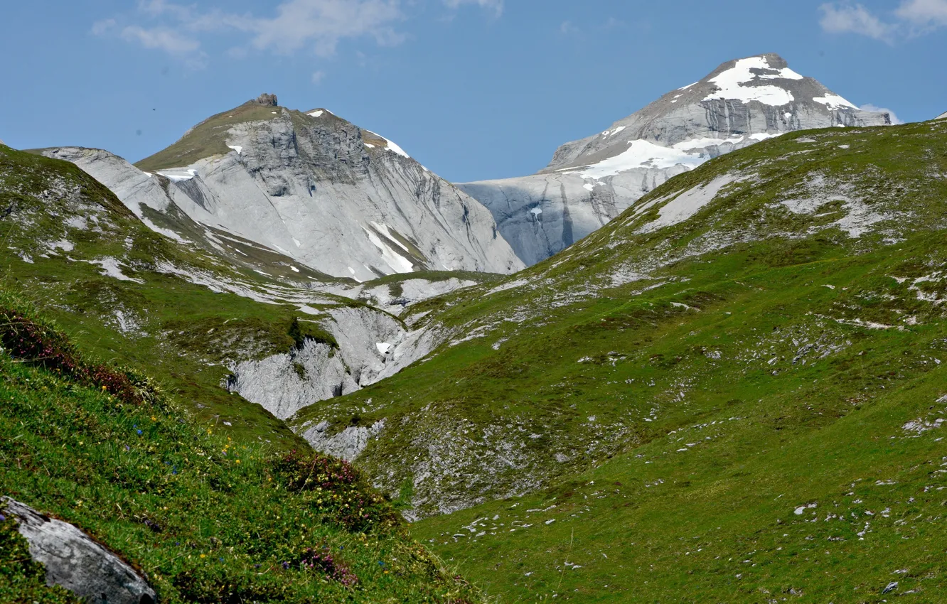 Photo wallpaper the sky, grass, snow, flowers, tops, Italy, mountain chain, Monte Baldo