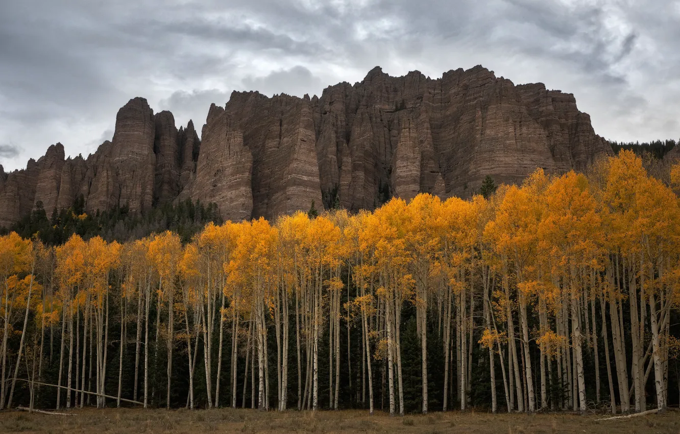 Photo wallpaper United States, Colorado, Straight Up