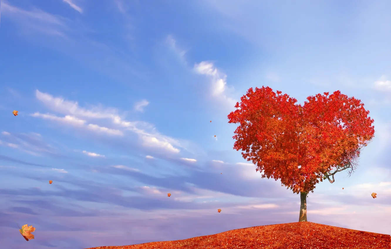 Photo wallpaper autumn, tree, heart, falling leaves