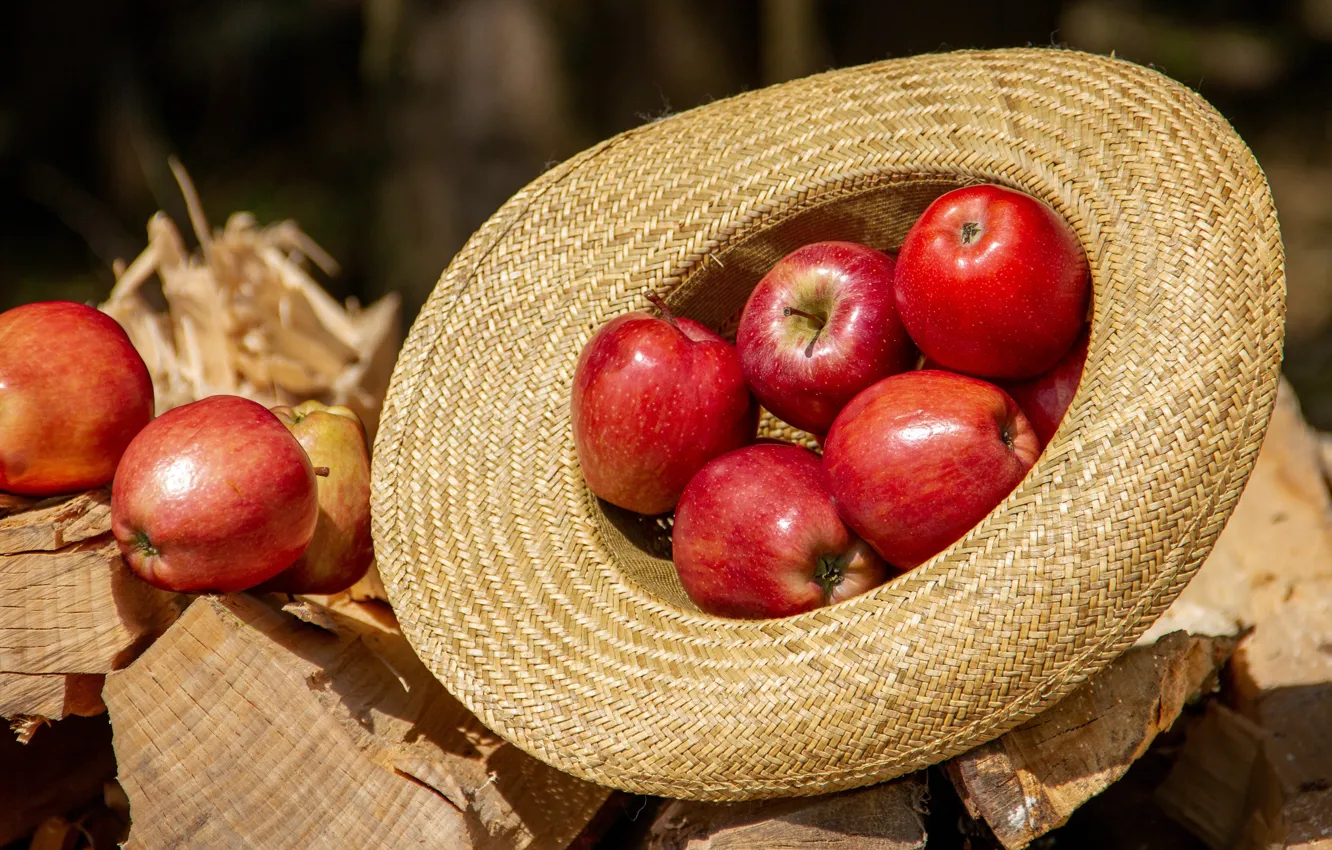 Photo wallpaper light, apples, hat, red, wood, fruit