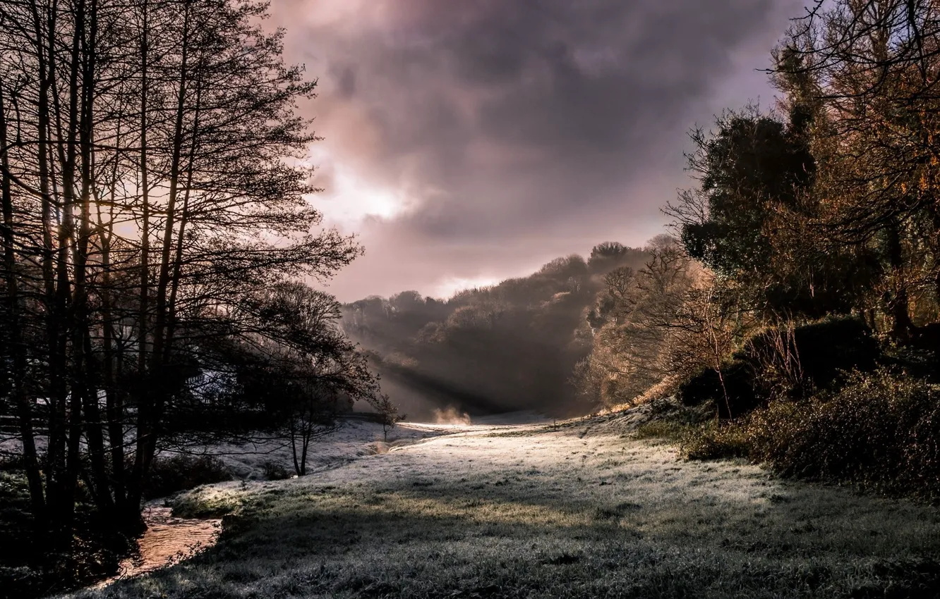 Photo wallpaper trees, landscape, nature, sun rays, frost, creeks