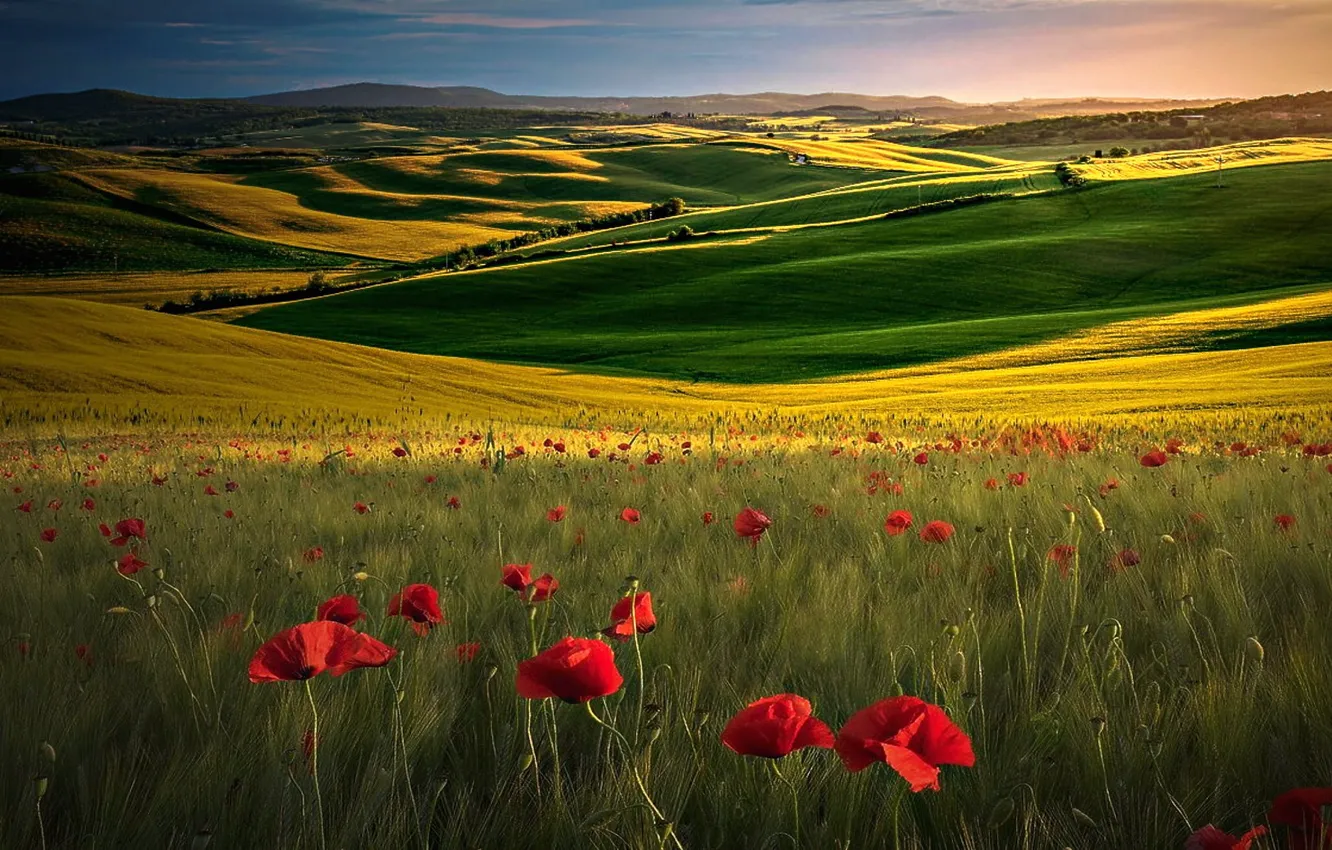 Photo wallpaper hills, Maki, Italy, Tuscany