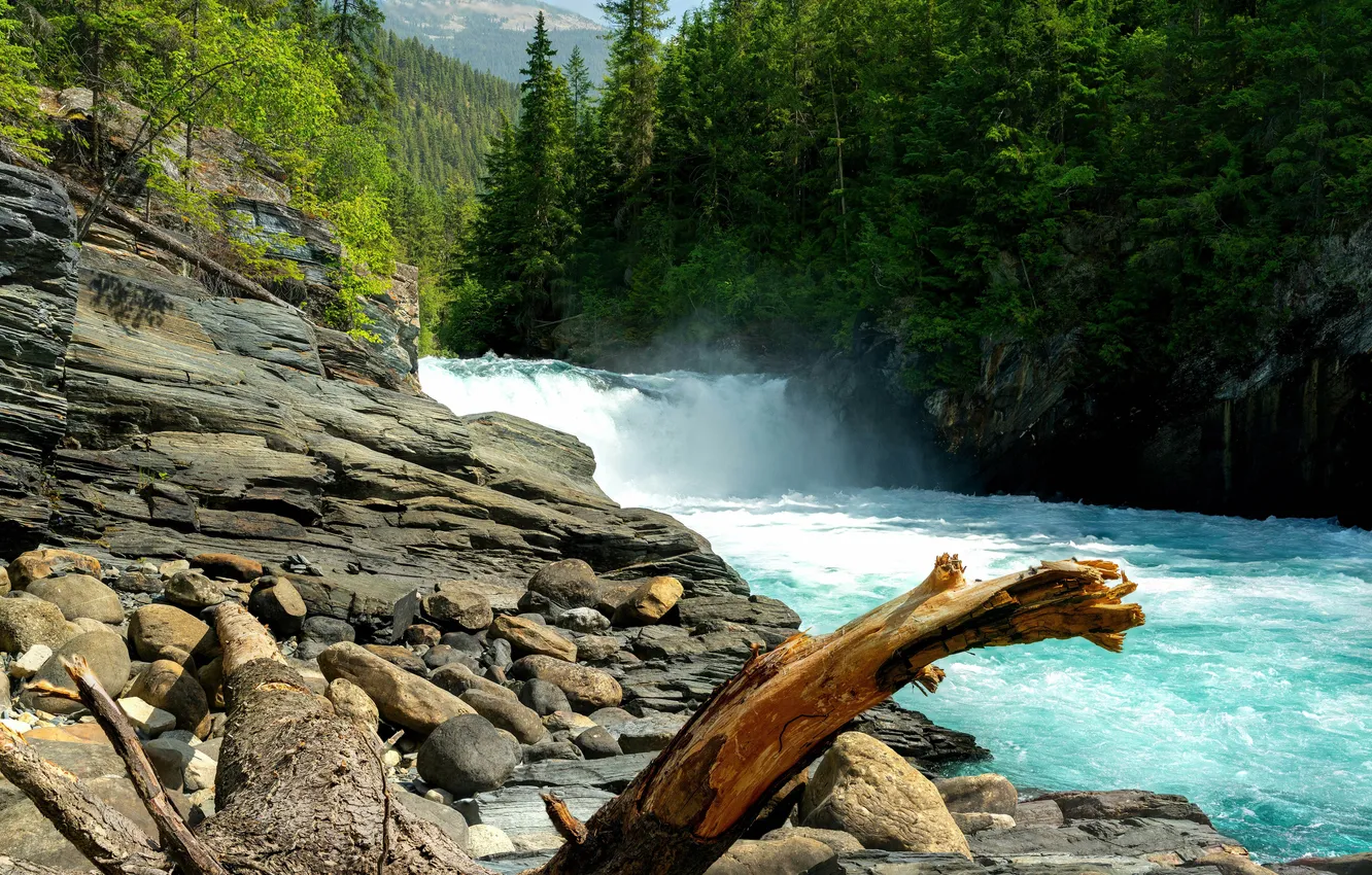 Photo wallpaper trees, stones, waterfall, valley, Canada, Canada, British Columbia, boulders