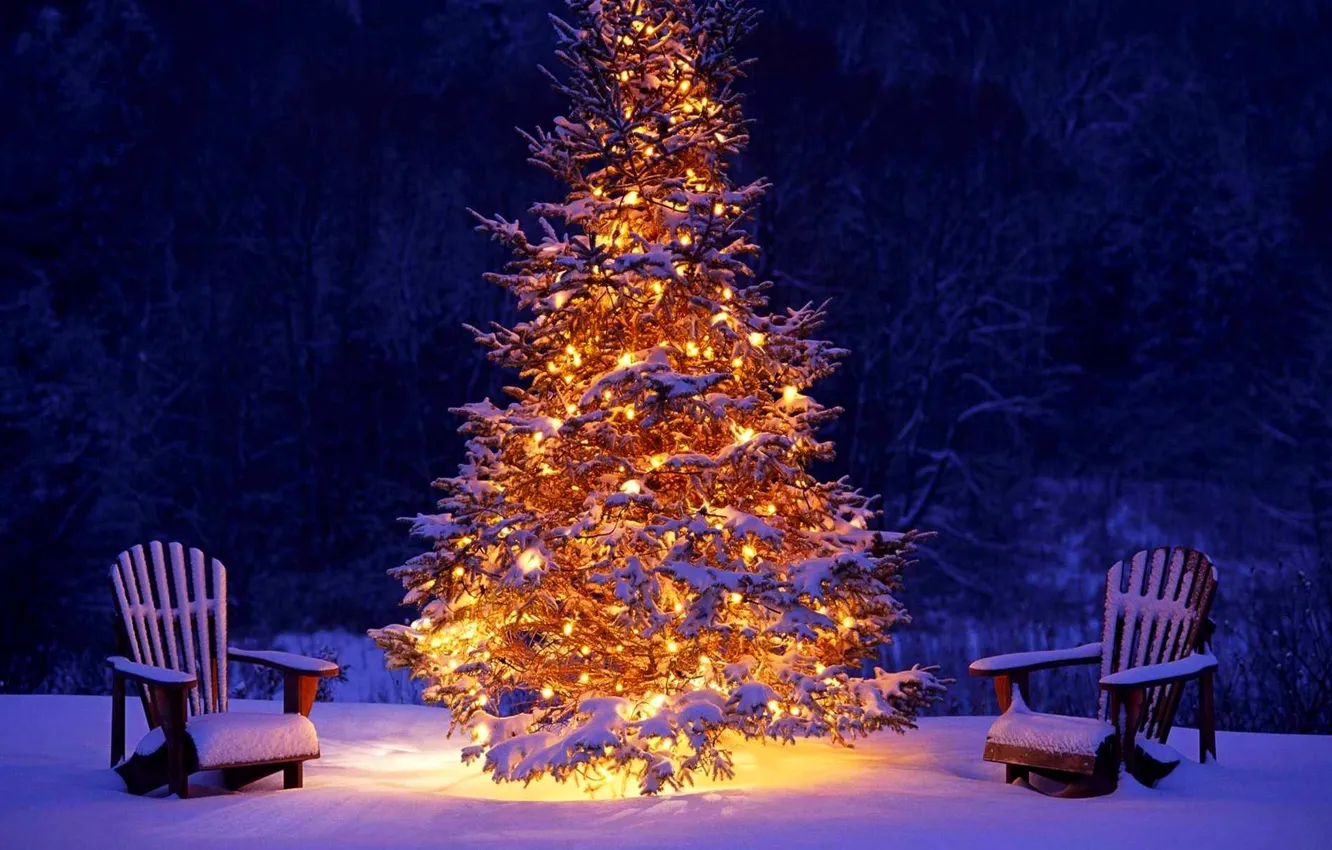 Photo wallpaper winter, forest, snow, lights, lights, holiday, tree, Christmas