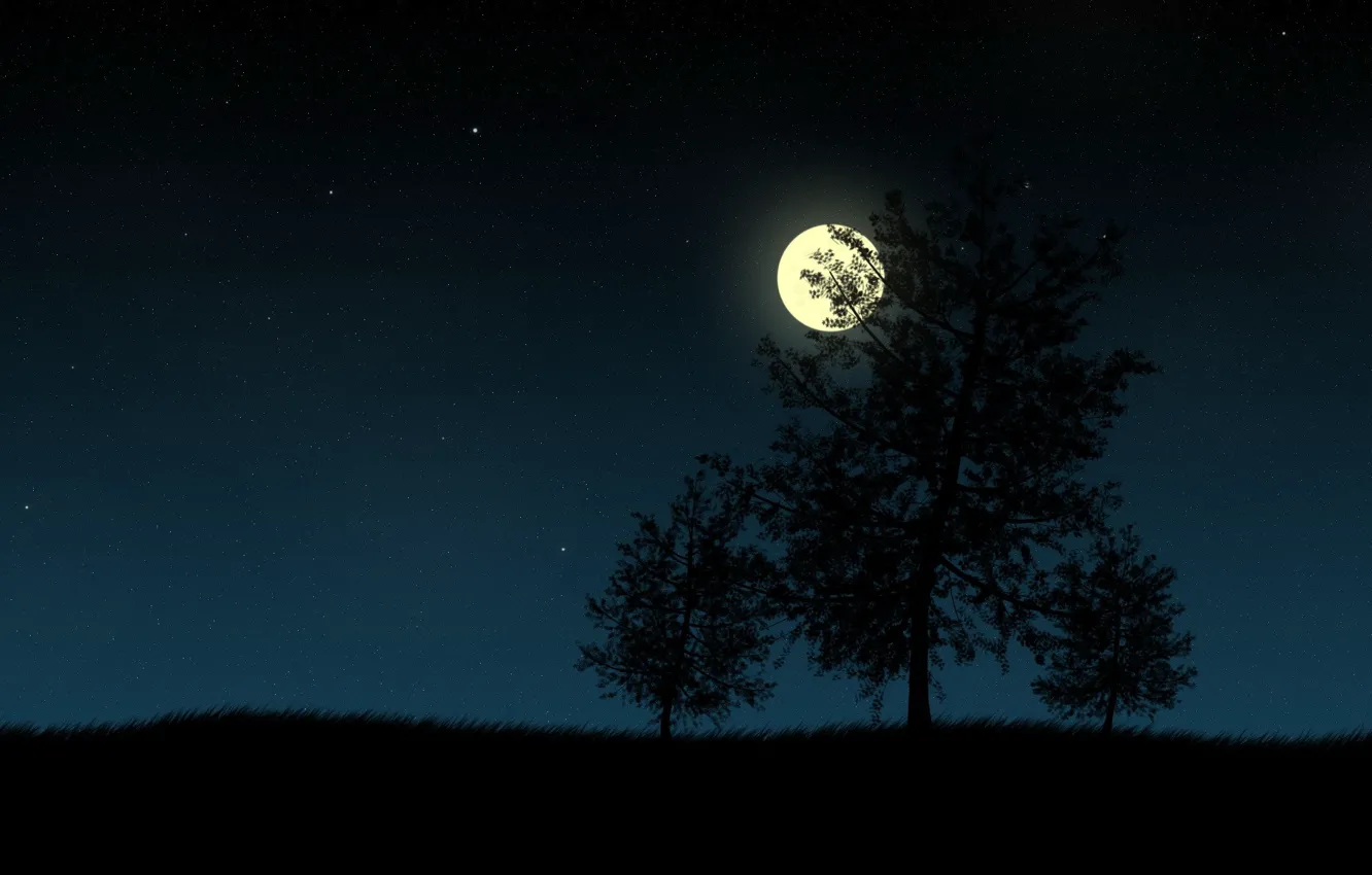Photo wallpaper night, the moon, vector, Trees