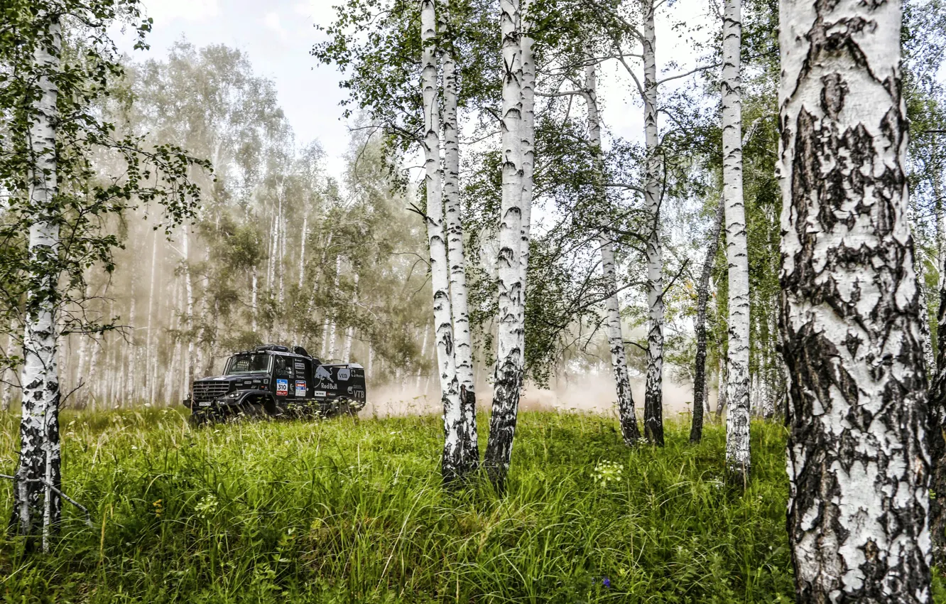 Photo wallpaper Forest, Sport, Machine, Truck, Race, Master, Birch, Russia
