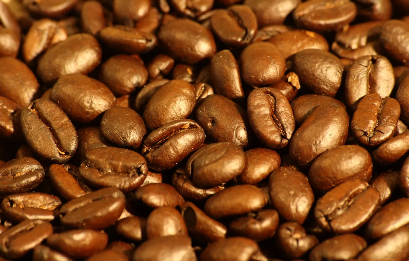 Photo wallpaper macro, glare, coffee, grain, brown