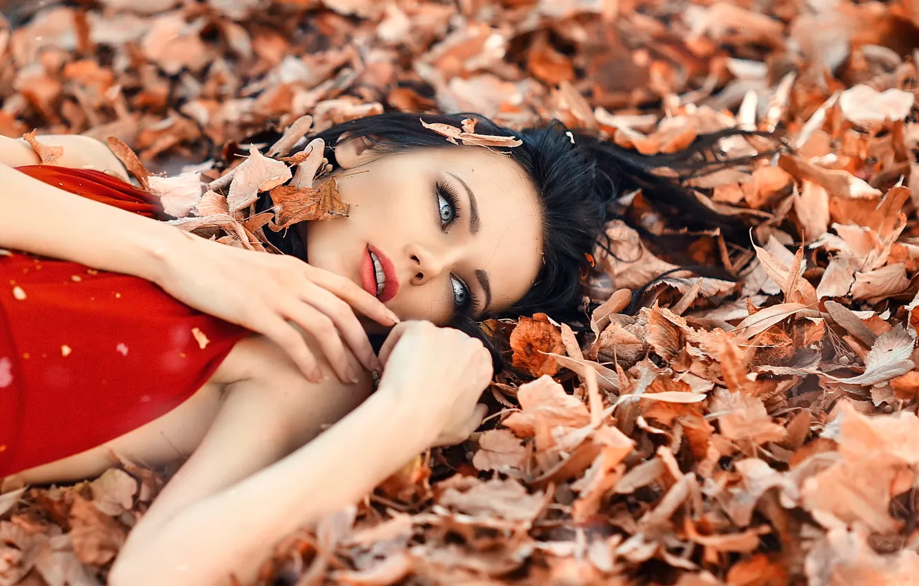 Photo wallpaper leaves, girl, makeup, Alessandro Di Cicco, Perfect Autumn