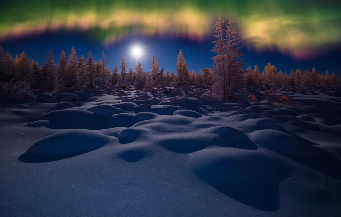 Photo wallpaper winter, forest, the sky, snow, trees, night, Northern lights, the snow