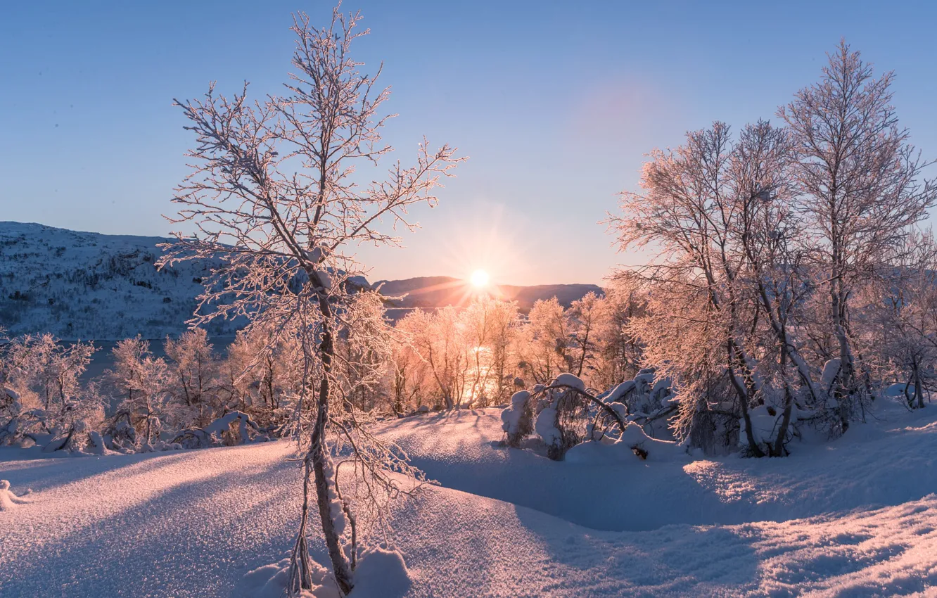 Photo wallpaper winter, the sun, snow, day, december evening