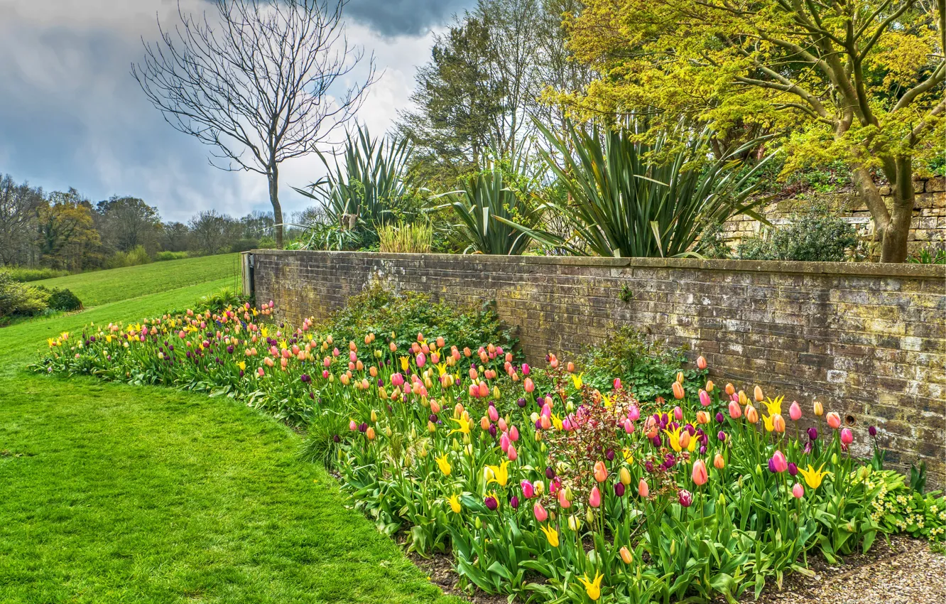 Photo wallpaper greens, grass, trees, flowers, England, garden, tulips, the bushes