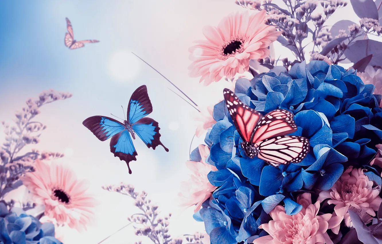 Photo wallpaper flowers, butterfly, leaf, gerbera, chrysanthemum, hydrangea