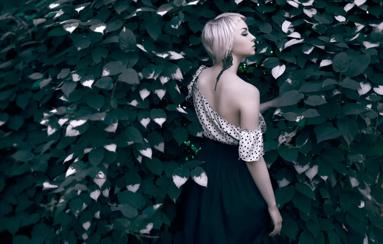 Photo wallpaper girl, pose, background