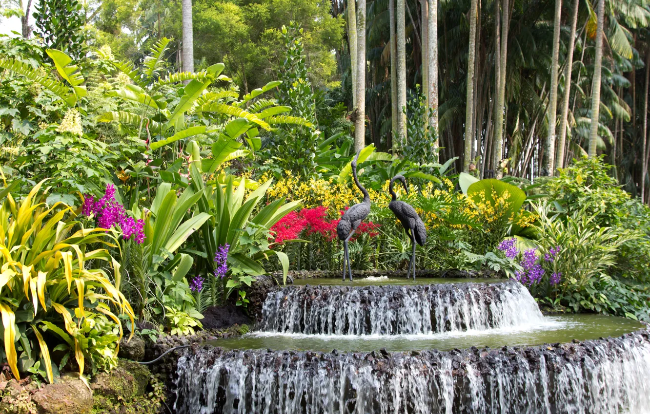 Photo wallpaper trees, flowers, birds, waterfall, garden, Singapore, fountain, orchids