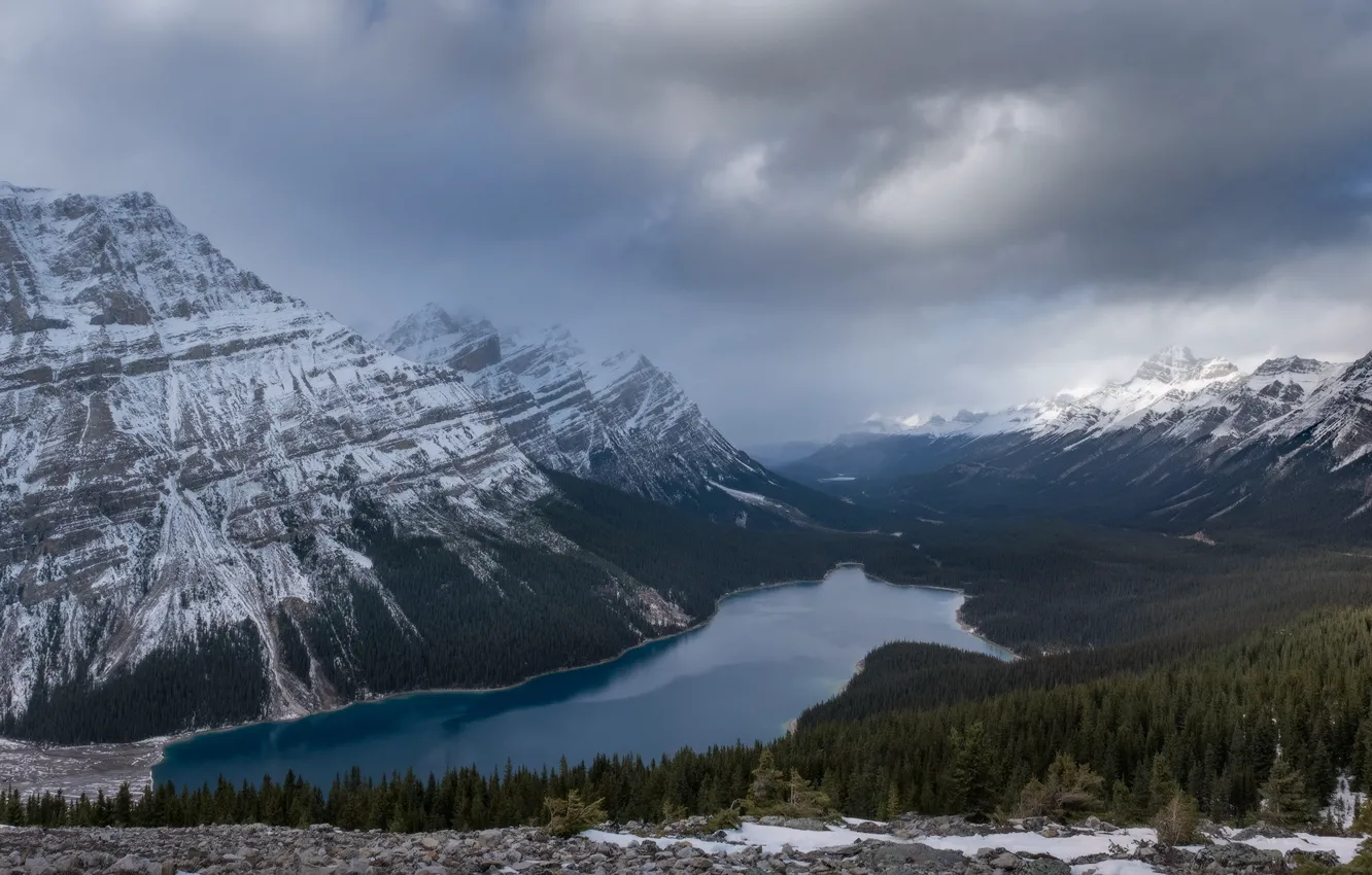 Photo wallpaper forest, snow, mountains, lake, Canada