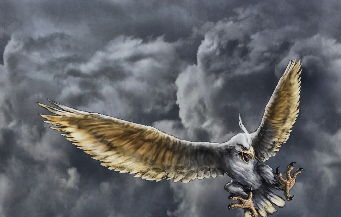 Photo wallpaper flight, clouds, eagle, figure