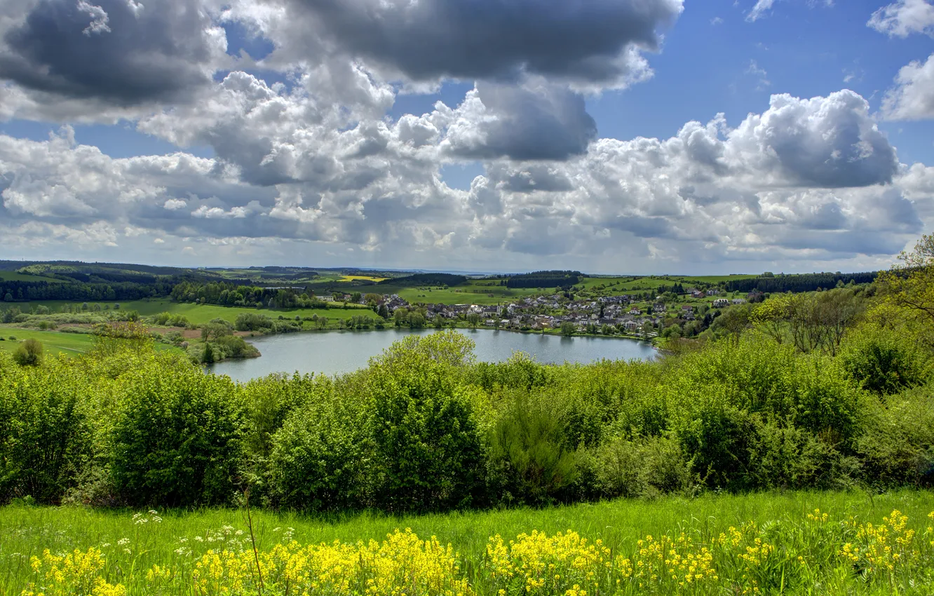 Photo wallpaper field, forest, the sky, clouds, trees, landscape, flowers, nature