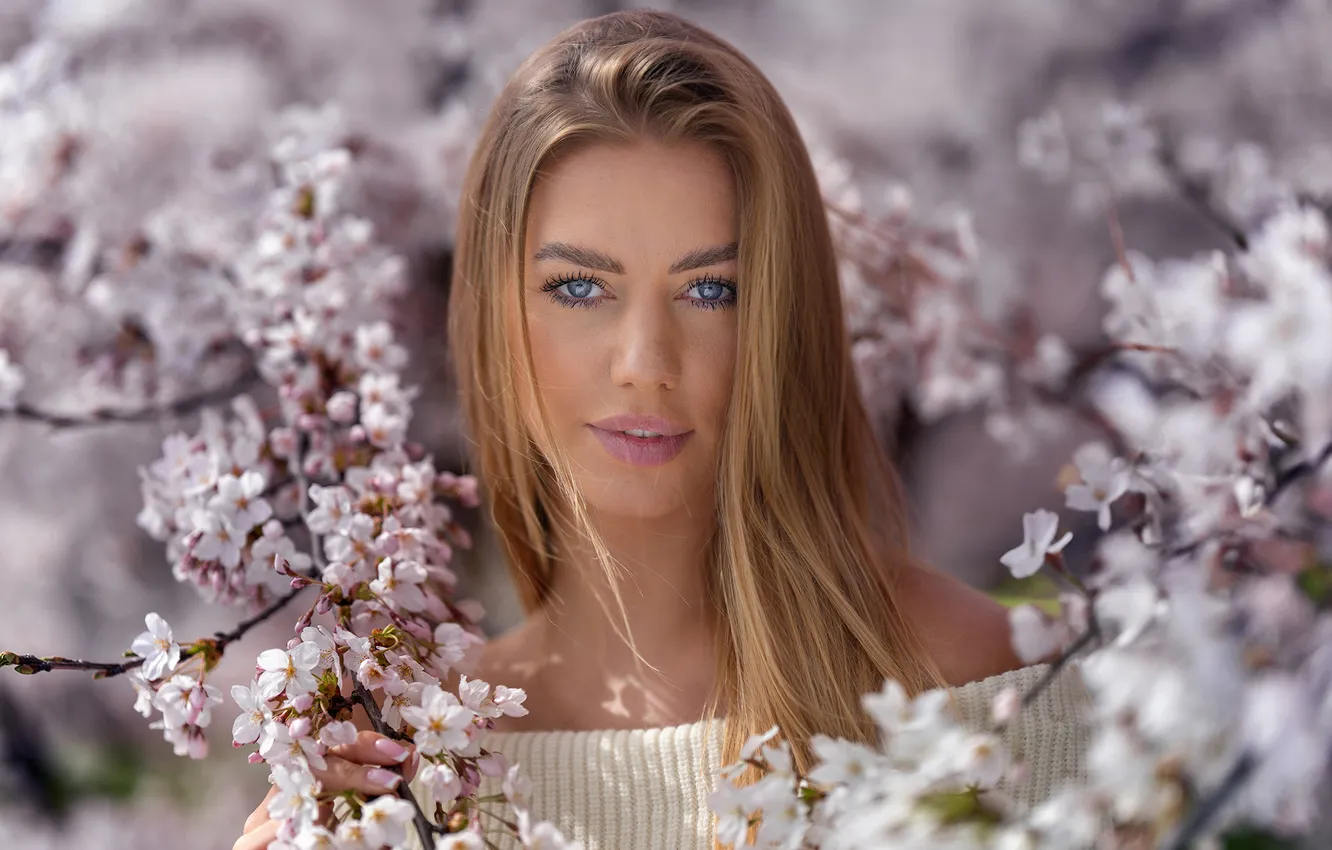 Photo wallpaper look, girl, flowers, branches, face, cherry, portrait, spring