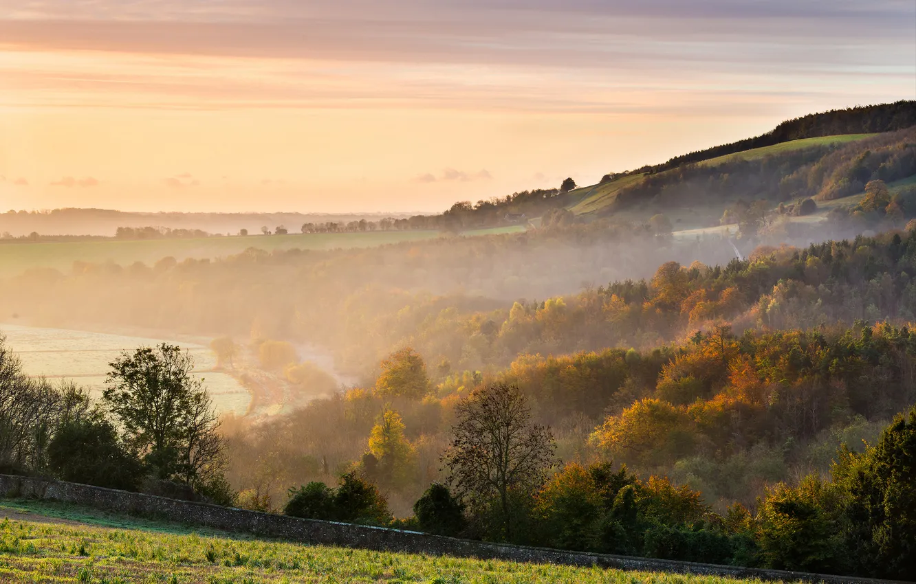 Photo wallpaper autumn, trees, fog, hills, England, morning, Britain