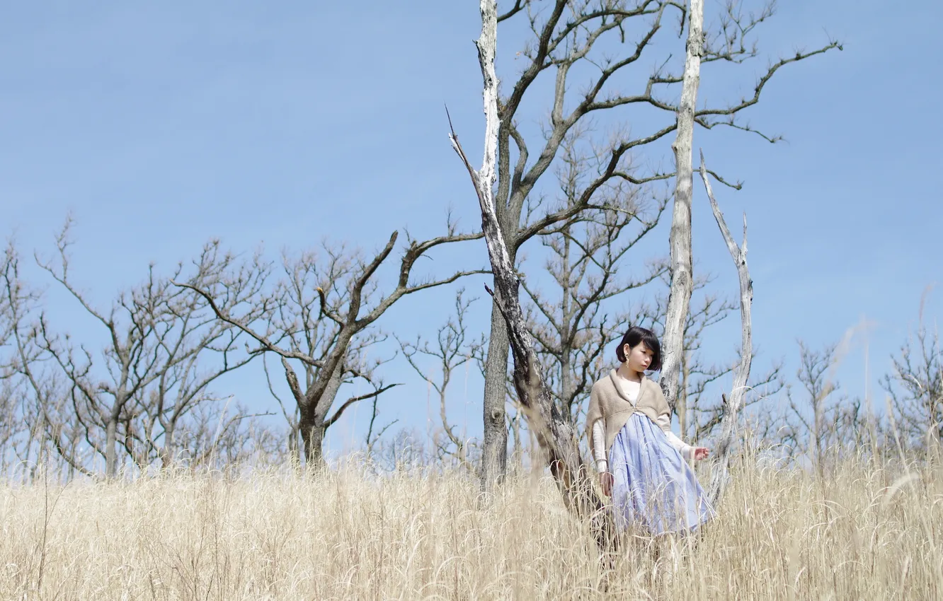 Photo wallpaper field, girl, trees