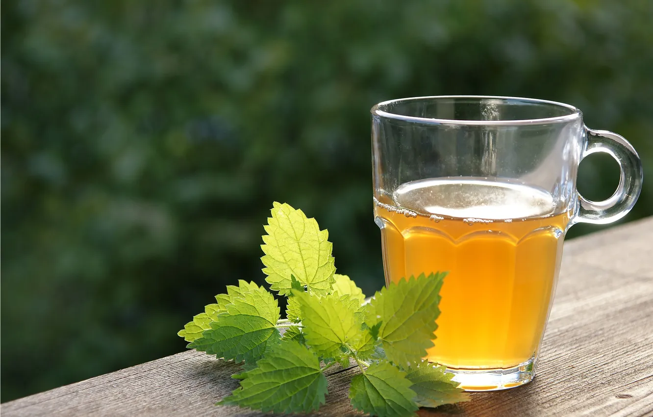 Photo wallpaper table, tea, mug, mint, bokeh
