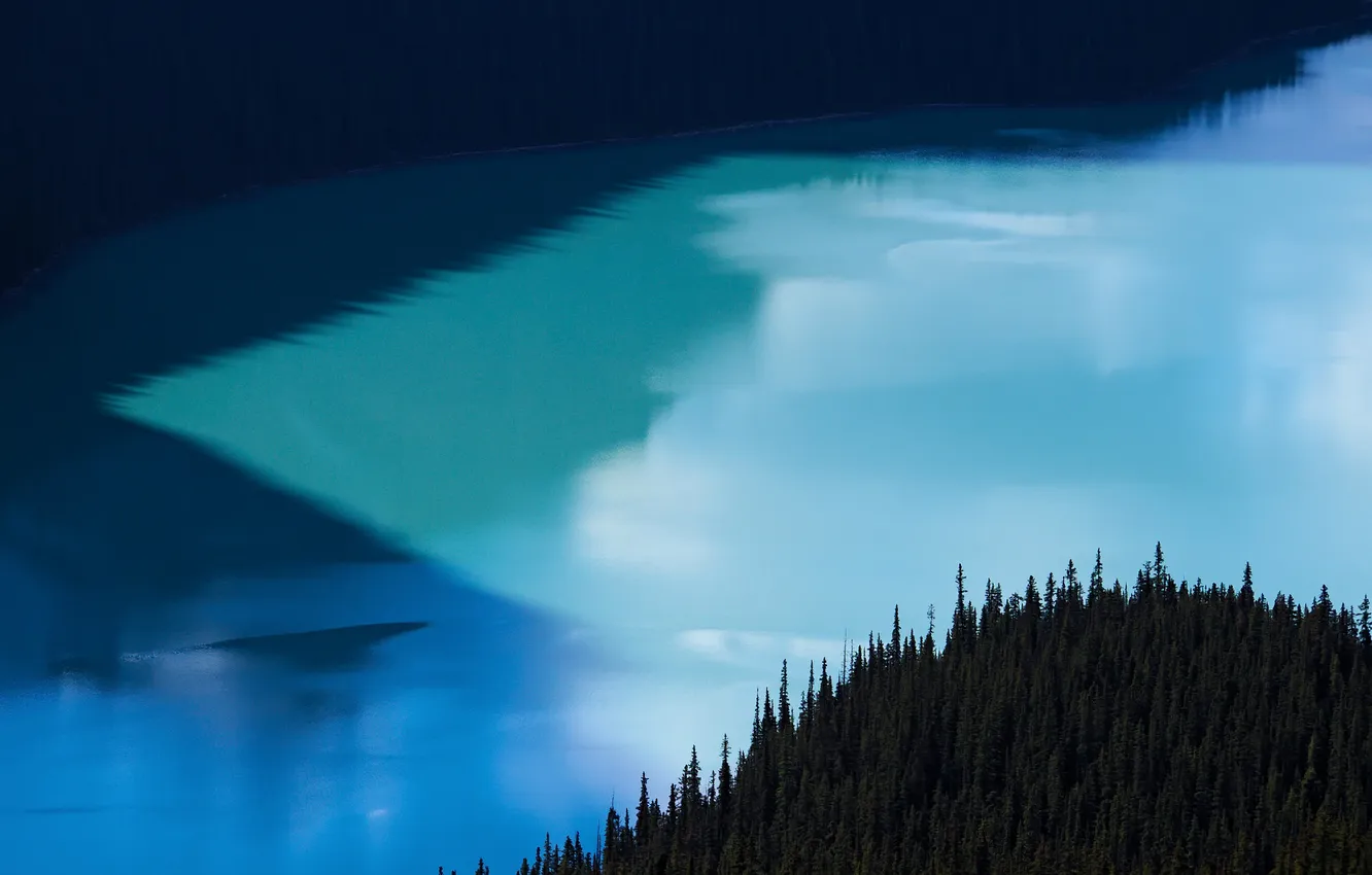 Photo wallpaper forest, lake, tree, Alberta, Canada, Peyto Lake