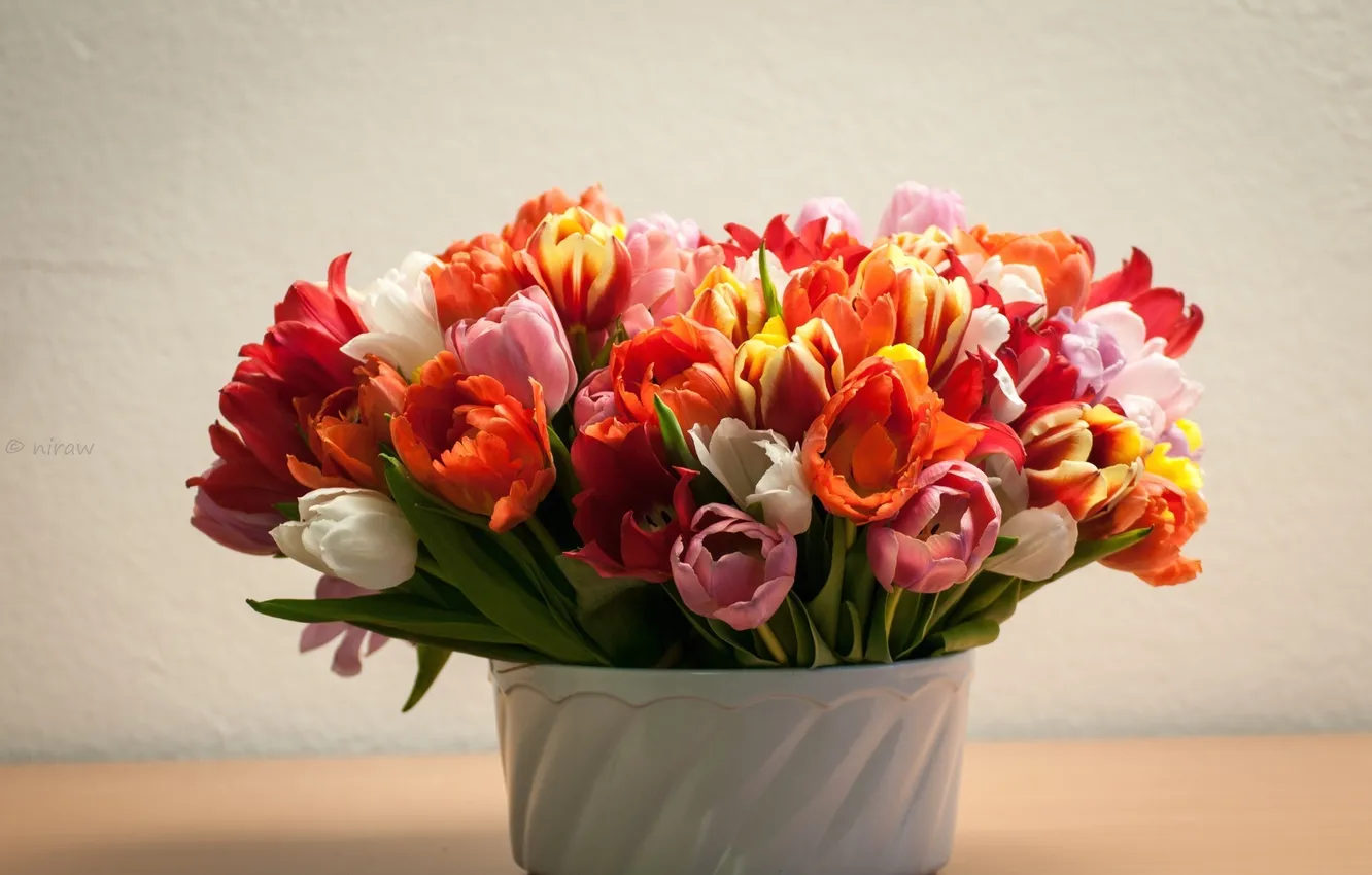 Photo wallpaper flowers, tulips, buds