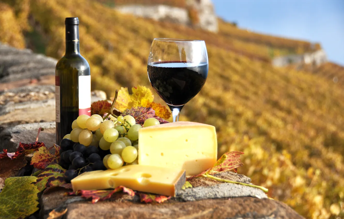 Photo wallpaper autumn, wine, red, glass, bottle, cheese, grapes, the vineyards
