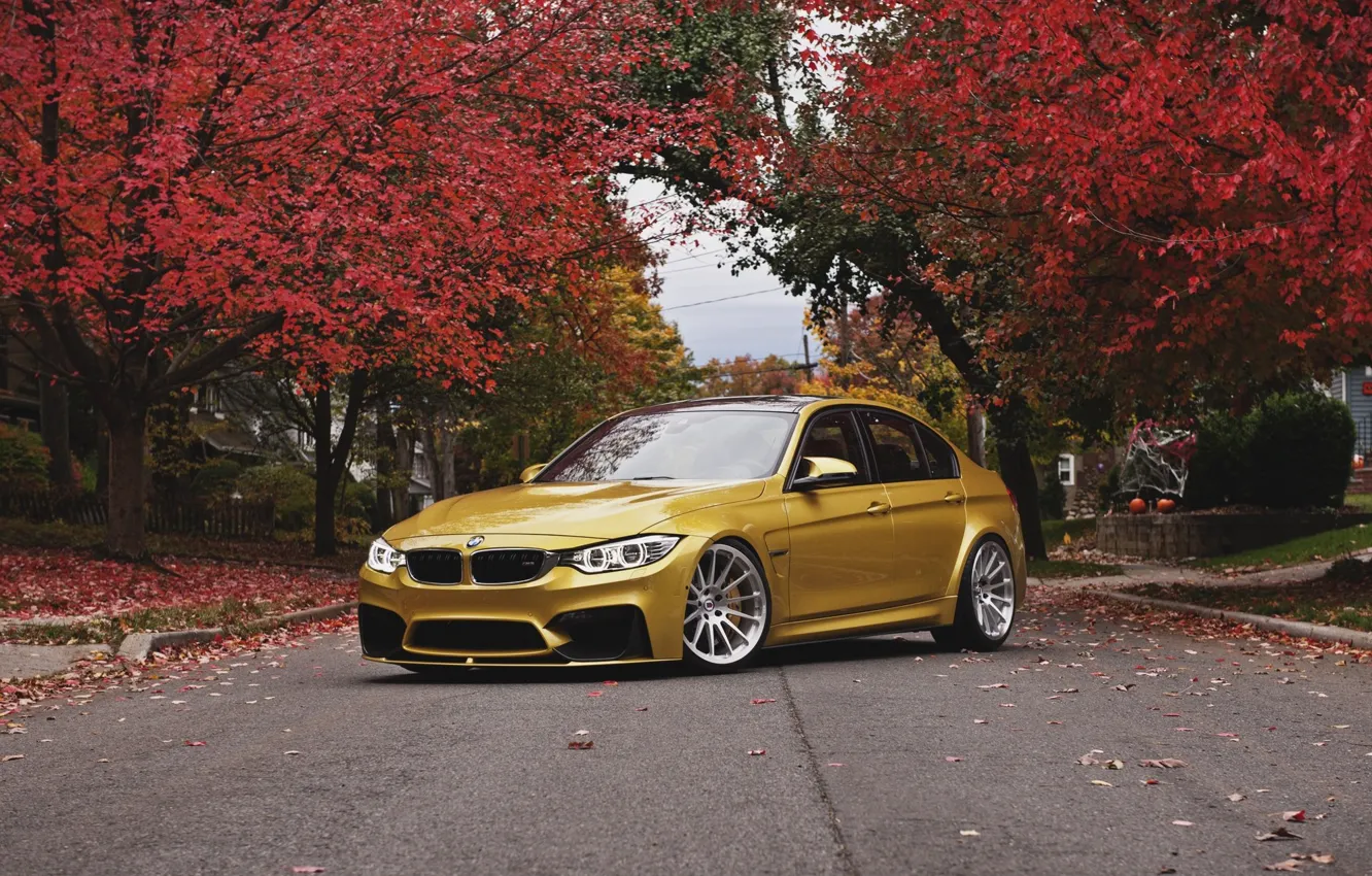 Photo wallpaper autumn, BMW, BMW, wheels, front, autumn, face, angel eyes