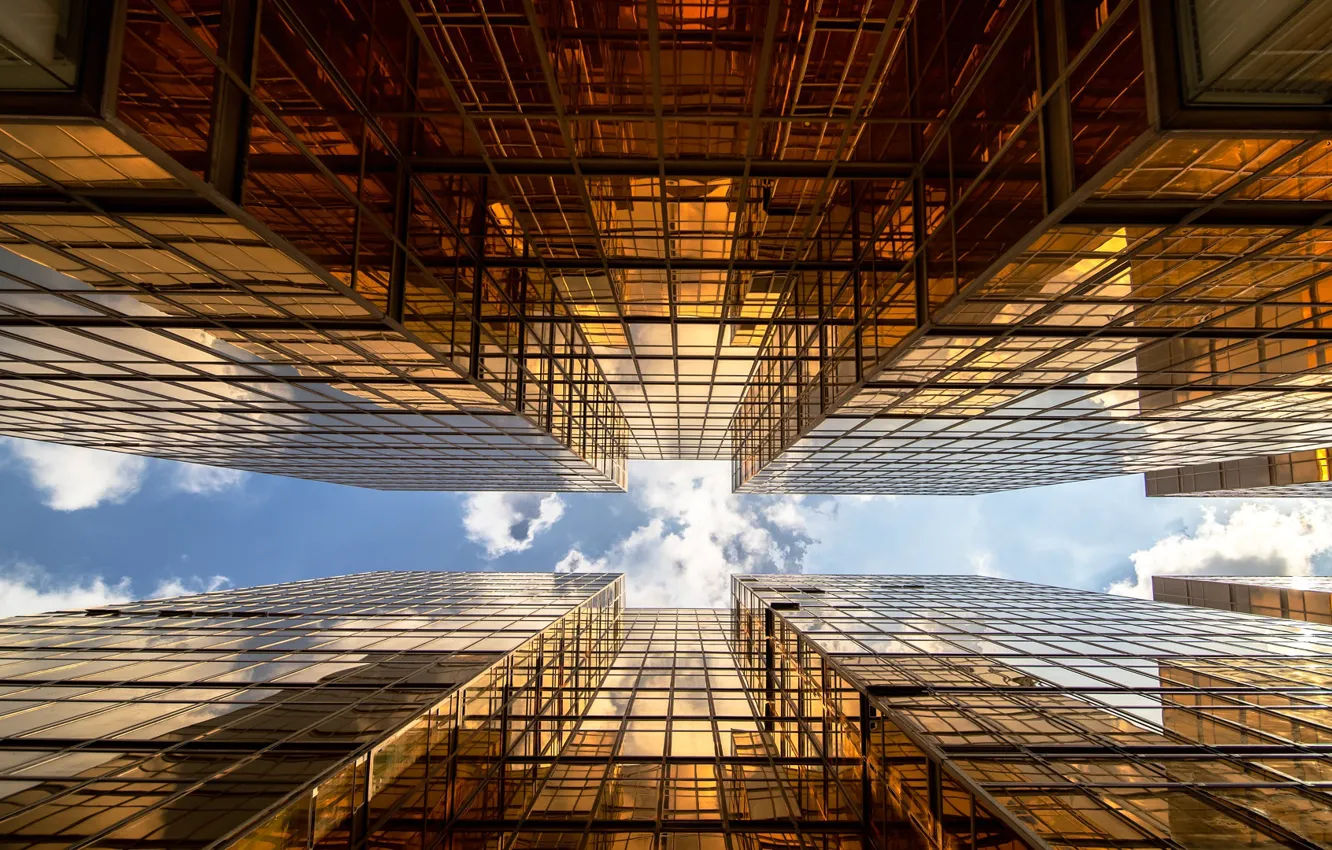 Photo wallpaper reflections, hongkong, Golden living
