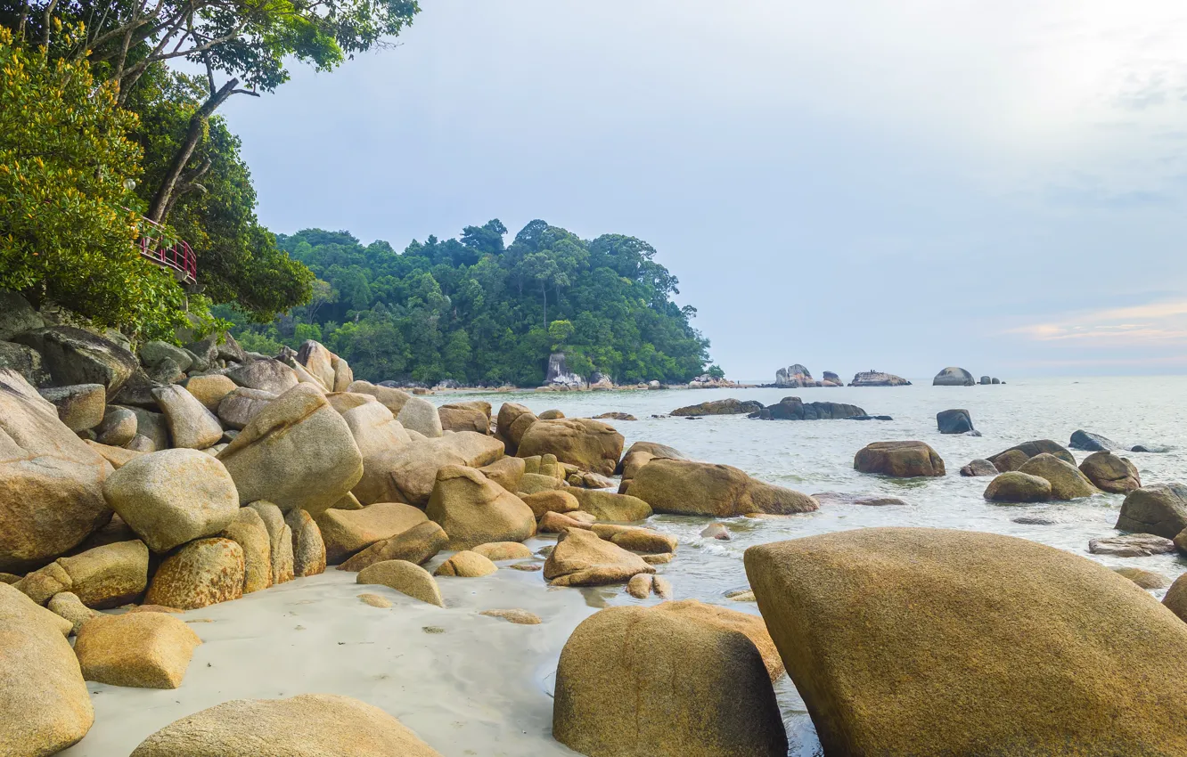 Photo wallpaper sea, trees, stones, shore, home