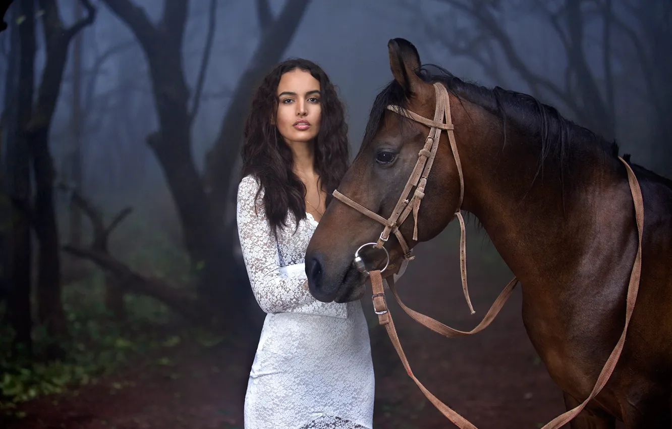Photo wallpaper forest, girl, trees, nature, fog, animal, horse, horse