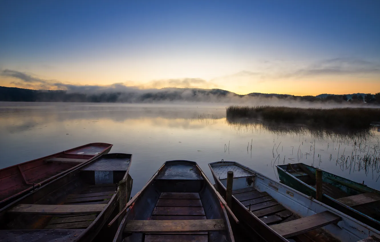 Photo wallpaper fog, lake, boat