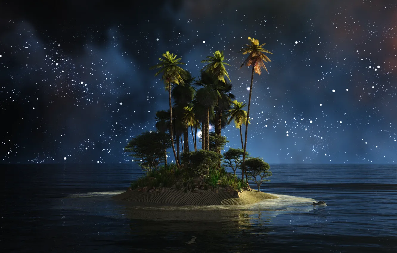 Photo wallpaper water, night, palm trees, island