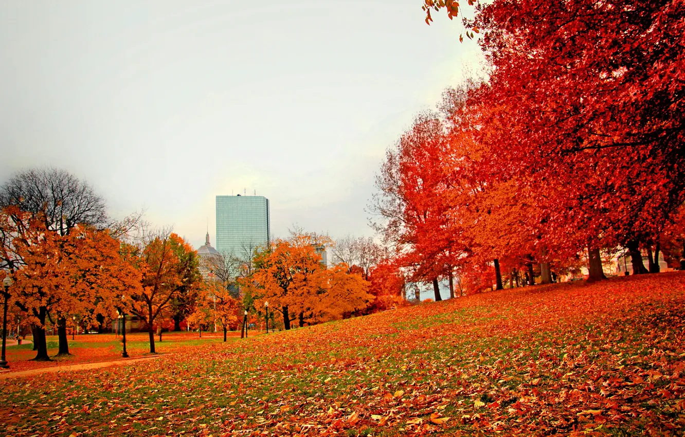 Photo wallpaper autumn, Park, foliage, USA, Boston, trees, Boston, park
