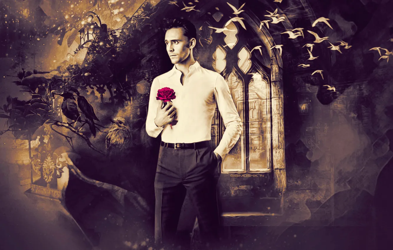 Photo wallpaper actor, Tom Hiddleston, Tom Hiddleston