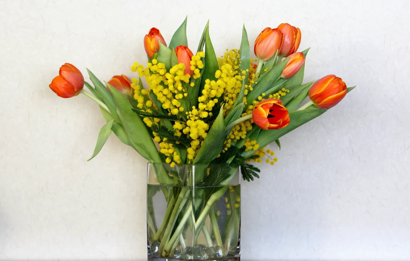 Photo wallpaper flowers, background, bouquet, tulips, vase, Mimosa, spring bouquet