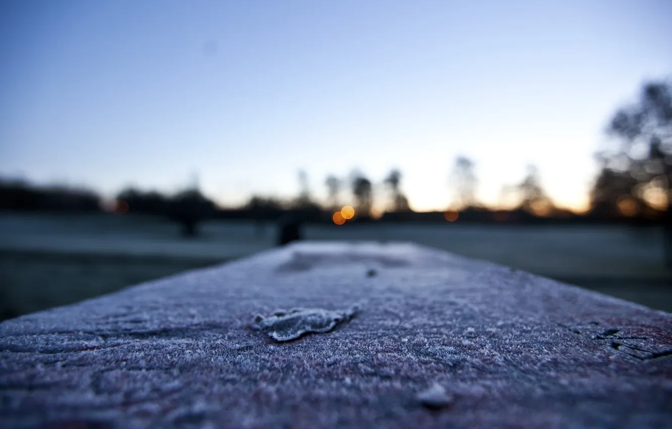 Photo wallpaper frost, macro, snow, sheet, dal